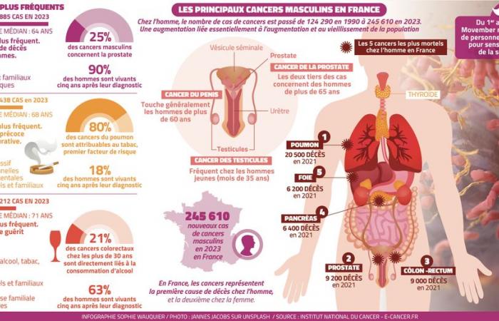 “Partículas 10.000 veces más pequeñas que un grano de arena contra el cáncer de próstata”: en Montpellier, la carrera por un nuevo tratamiento