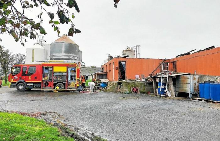 En Lamballe-Armor, 2.000 lechones y 90 cerdas mueren en un incendio en un criadero