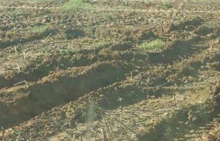 JA32 y FDSEA32: ¡los agricultores no maltratarán sus tierras para complacer a la administración!