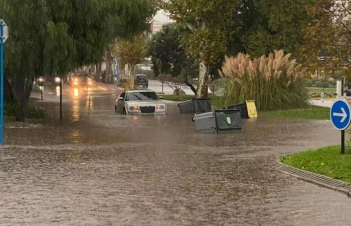 Inundaciones de septiembre y octubre en Mandelieu: las víctimas invitadas a declararse