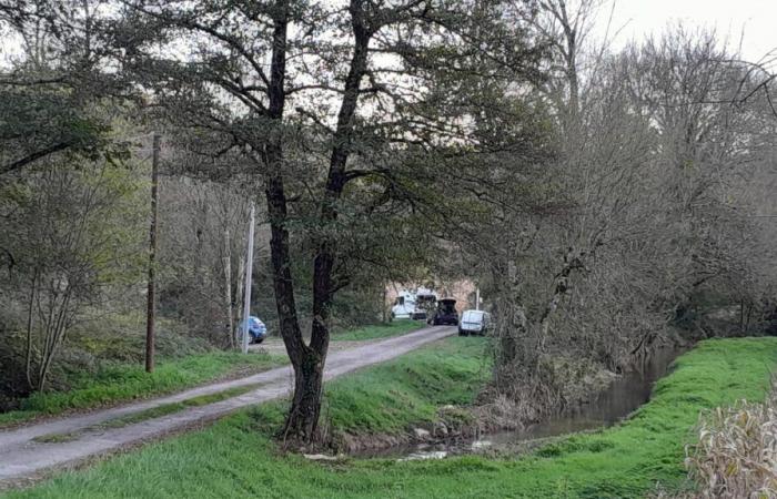 Un cazador encontrado muerto en Dordoña con una herida abdominal durante una caza de jabalí