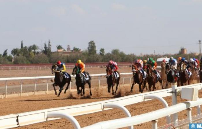 Marrakech: gran éxito de la 3.ª edición del Gran Premio Africano de Carreras de Caballos