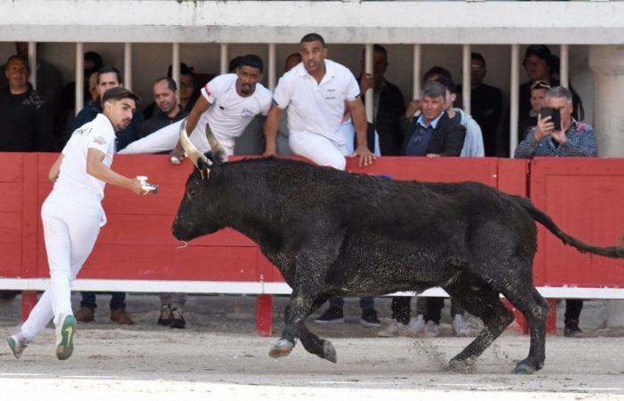 Suspenso y toros “de oro” para la 40ª final del Trofeo Pescalune