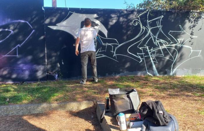 “El mundo del street art es cada vez más amplio”: en Montauban, el pabellón 82 recupera color