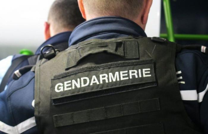 “Tuvimos que impedirles desde el principio que se instalaran”: en Oise, los gendarmes interrumpen una fiesta rave