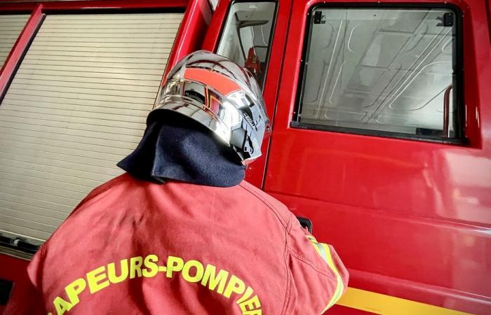 Un camión que transportaba carne se incendió tras un accidente, la carretera nacional fue cerrada