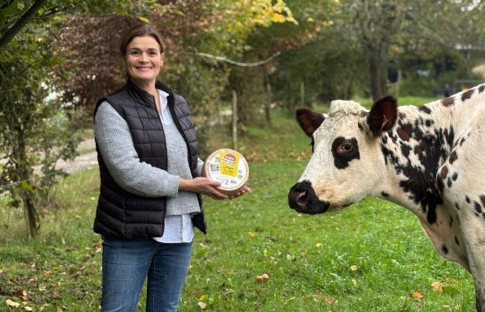 esta finca recibe tres medallas por su queso ecológico de leche cruda