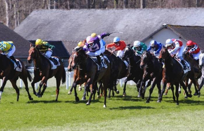 Predicciones de carreras de caballos para el lunes 4 de noviembre de 2024