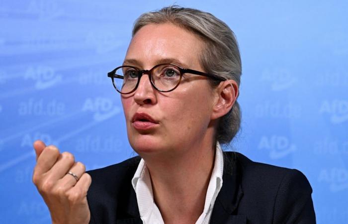 Juez militar bajo Hitler: revelación explosiva sobre el abuelo de Weidel | política