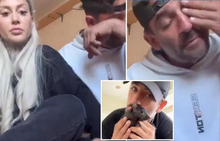 La afligida familia de P’nut the Squirrel da una declaración entre lágrimas en TikTok: ‘Estoy triste, estoy disgustado’