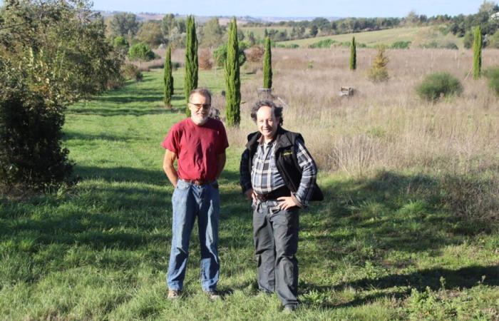 Planean crear la granja del tercer milenio en este pueblo del Alto Garona