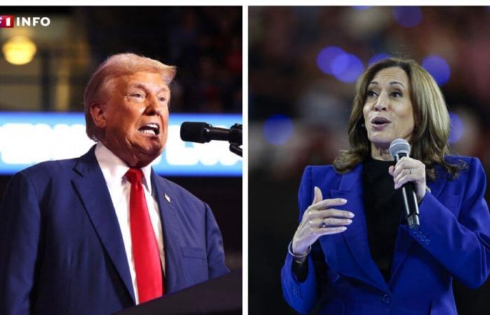 Elecciones presidenciales estadounidenses: Donald Trump o Kamala Harris, ¿qué dicen las encuestas sobre el D-2?