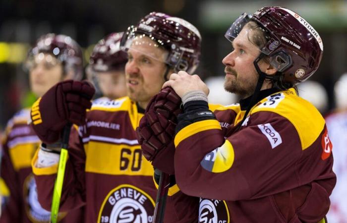 Hockey: El malestar de Genève-Servette resumido en cinco cifras