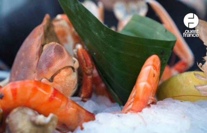 VIDEO. Un “efecto Vendée Globe” diferente en los bares y restaurantes de Sables-d’Olonne