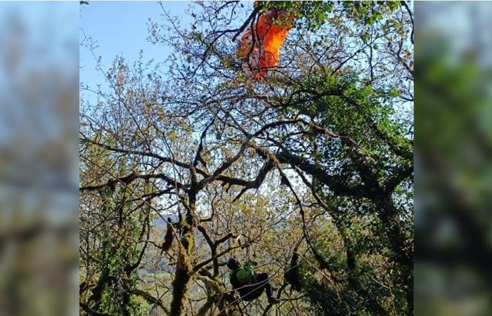 Los bomberos de Dordoña rescatan un parapente atrapado en un árbol a cinco metros de altura