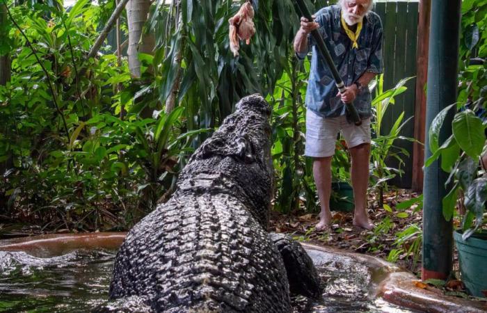 Muere Cassius, el cocodrilo en cautiverio más grande del mundo, a los 110 años