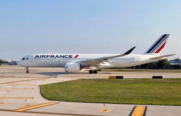 Air France suspende vuelos sobre la zona del Mar Rojo