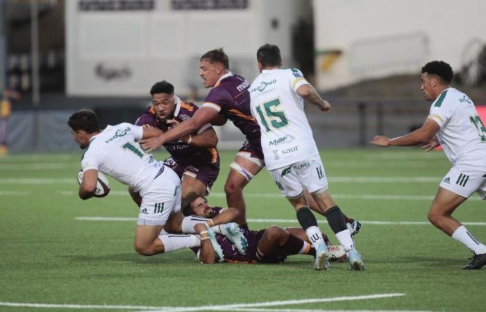 Rugby (Pro D2): análisis del viento de locura que sopla sobre Pro D2 desde el inicio de la temporada