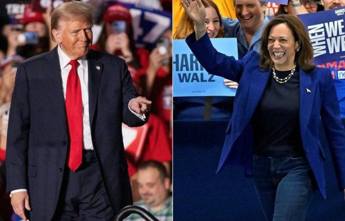 Elecciones presidenciales estadounidenses de 2024: último domingo de campaña para Kamala Harris y Donald Trump, una nueva encuesta sorprende