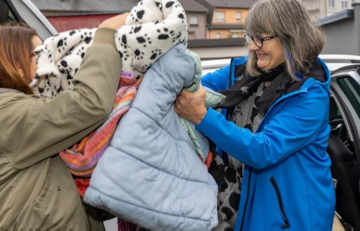 Después del incendio: el refugio de animales de Schifflange se ve abrumado por las donaciones