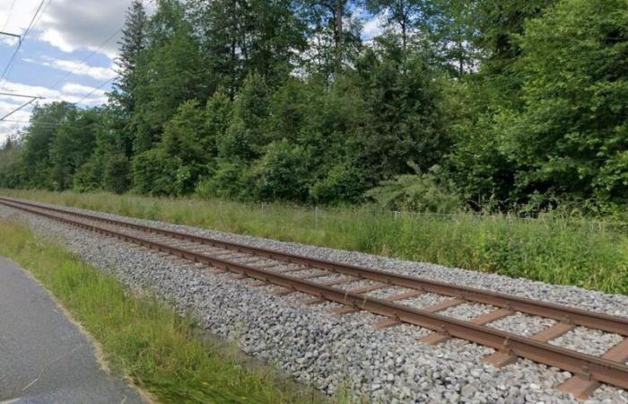 Accidente de tren Lützelflüh-Goldbach: un hombre atropellado por un tren en Maadweg