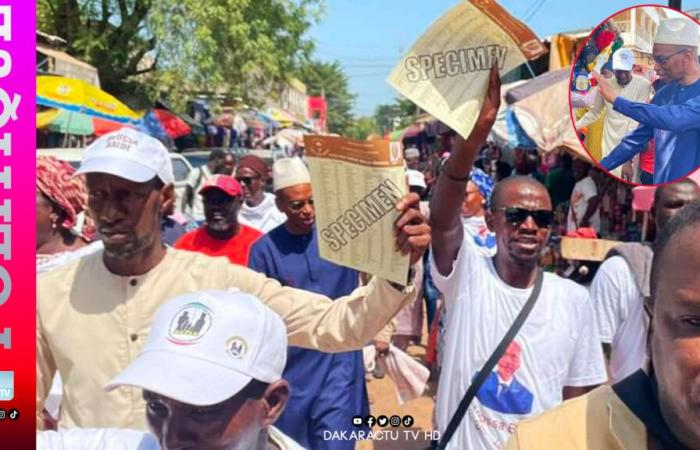 La coalición takku-wallu Senegal en el mercado central, en el mundo rural…