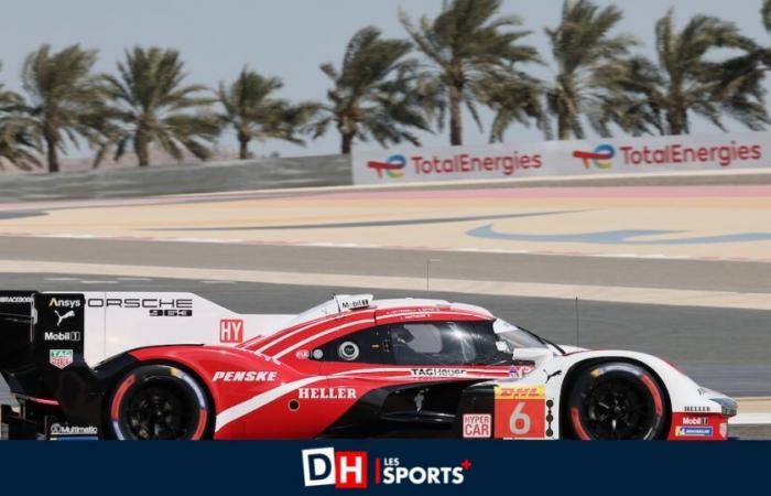 ¡Laurens Vanthoor se coronó campeón del mundo FIA WEC 2024 en Sakhir!