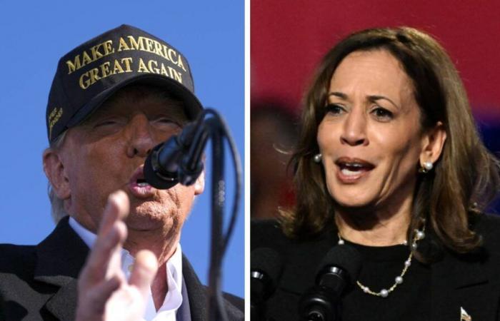 Últimas elecciones estadounidenses: la encuesta coloca a Harris a la cabeza en el estado rojo rubí; Biden dice que Trump es alguien a quien “te gustaría darle una palmada en el trasero” | Noticias de EE. UU.