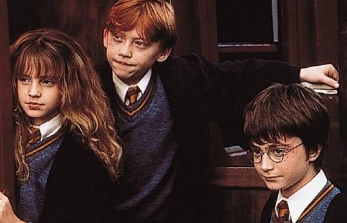 Nuestras ideas para hacer de la nueva serie de Harry Potter un éxito