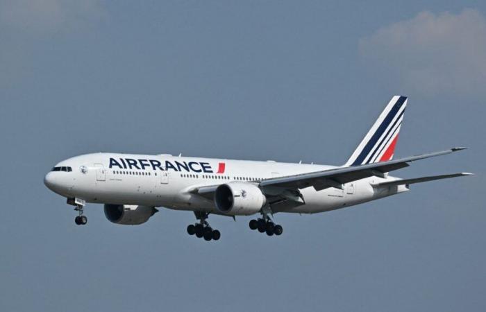 Air France suspende “hasta nuevo aviso” todos los vuelos de sus aviones sobre la zona del Mar Rojo