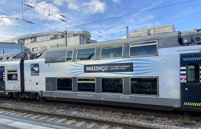 Huelga de cambiadores en la SNCF, aquí están los trenes afectados este lunes