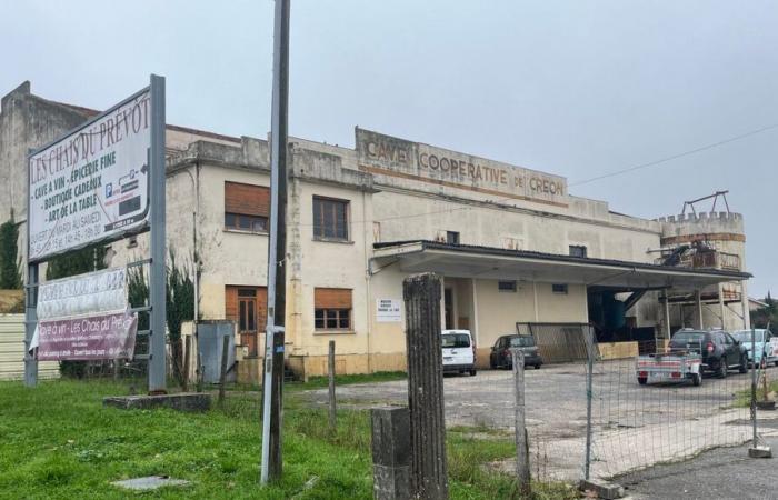 Sin cosecha en la bodega cooperativa Créon, un nuevo ejemplo de la crisis del vino en Gironda