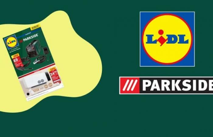 Lidl arrasa con la competencia con una llegada de alta gama a Parkside.