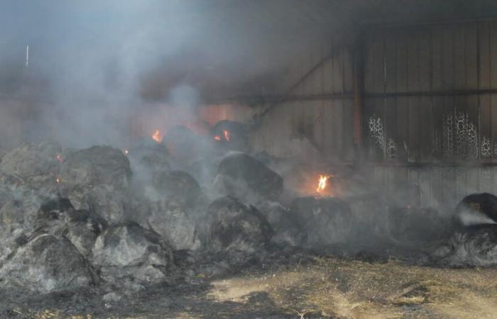 Juró. Varias toneladas de paja se esfuman en Brevans