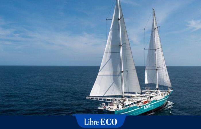 Transportar café en velero de carga, una opción mucho más ecológica que el transporte marítimo convencional, ¡ya es posible!