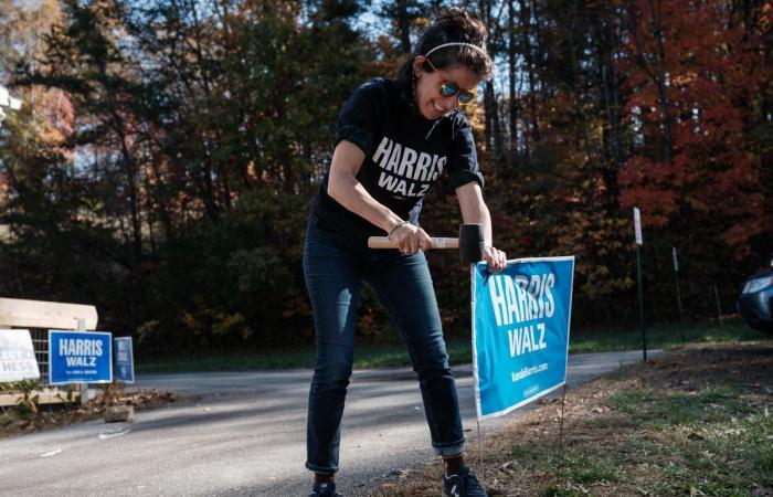 Elecciones: los demócratas cazan en tierras de Trump