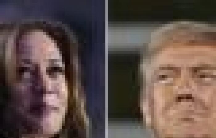 Trump y Harris se centran en los estados del ‘Muro Azul’ en las últimas horas de campaña