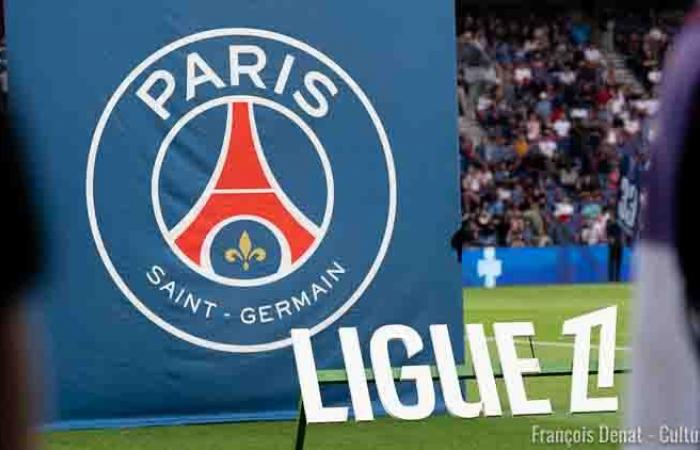 Ligue 1: Nuevo subcampeón y creciente ventaja para el PSG