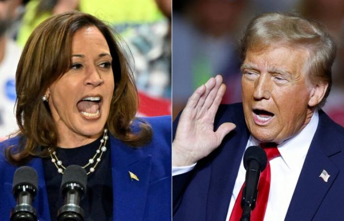 Harris o Trump, a dos días de las elecciones, ¿qué dicen las encuestas?