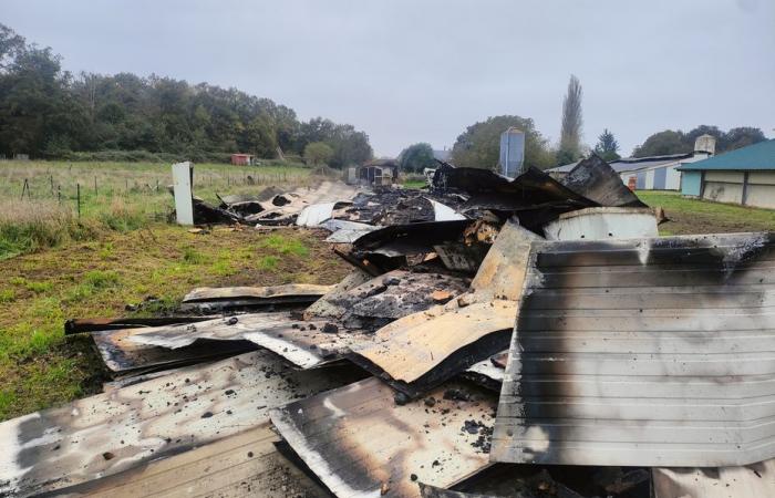 8.000 aves de corral mueren en un incendio en el este de Loiret, una dificultad para el criador que “ya luchaba por sobrevivir”