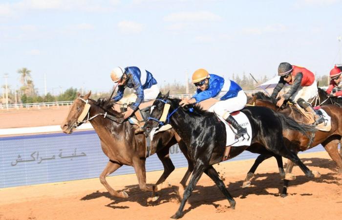 Gran Premio de África: la 3.ª edición da su veredicto en Marrakech