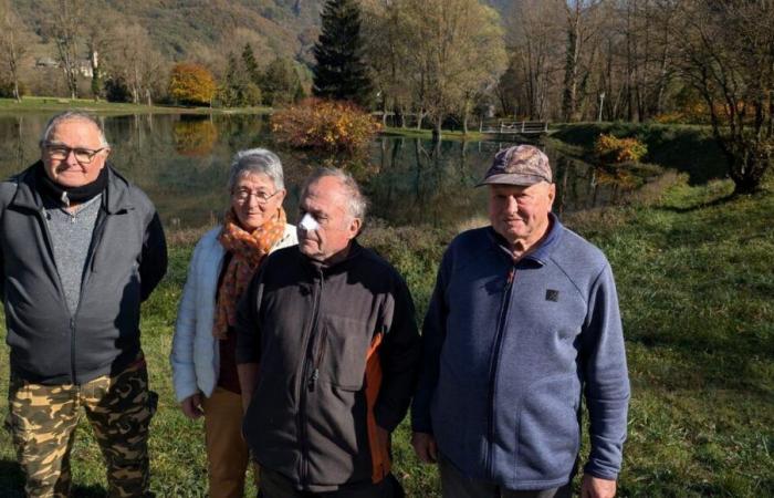 Alta Saboya: los pescadores del lago Marlens están en guerra con los grandes cormoranes