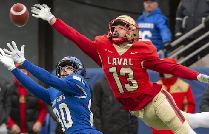 Los Rojos y Oro en la final provincial por 21ª temporada consecutiva