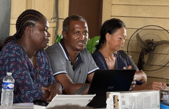 Los agricultores de Guyana apuntan a la Cámara de Agricultura para defender su futuro