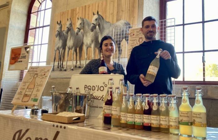 Pauline y Jocelyn elaboran kombucha, una bebida sin alcohol a base de té, en La Mancha