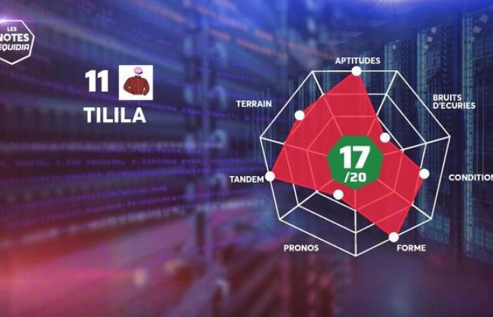 Quinté+: Las notas de los entrantes de Quinté+ para este domingo 3 de noviembre