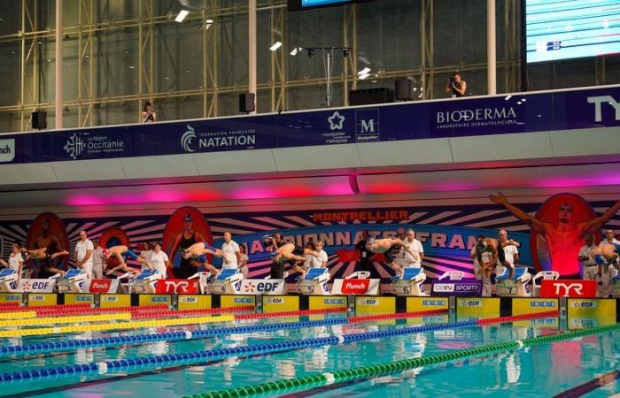 Fin del campeonato de Francia de piscina corta vivido como una prueba antes de recibir a Léon Marchand en junio en Montpellier