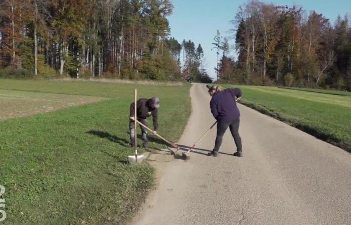 El fin de la tradición de las tareas municipales en Auboranges – rts.ch