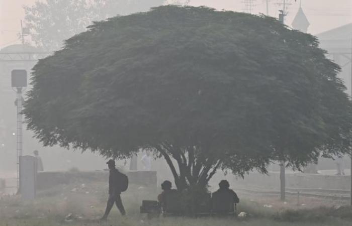 Una ciudad cierra sus escuelas por excesiva contaminación del aire (fotos)