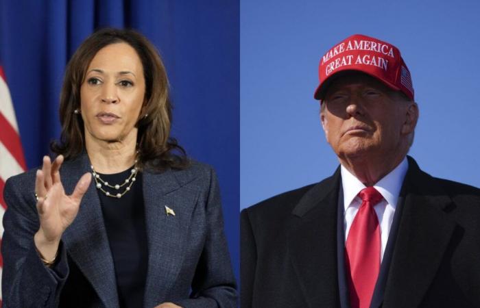 Trump o Harris, lo que dicen las encuestas